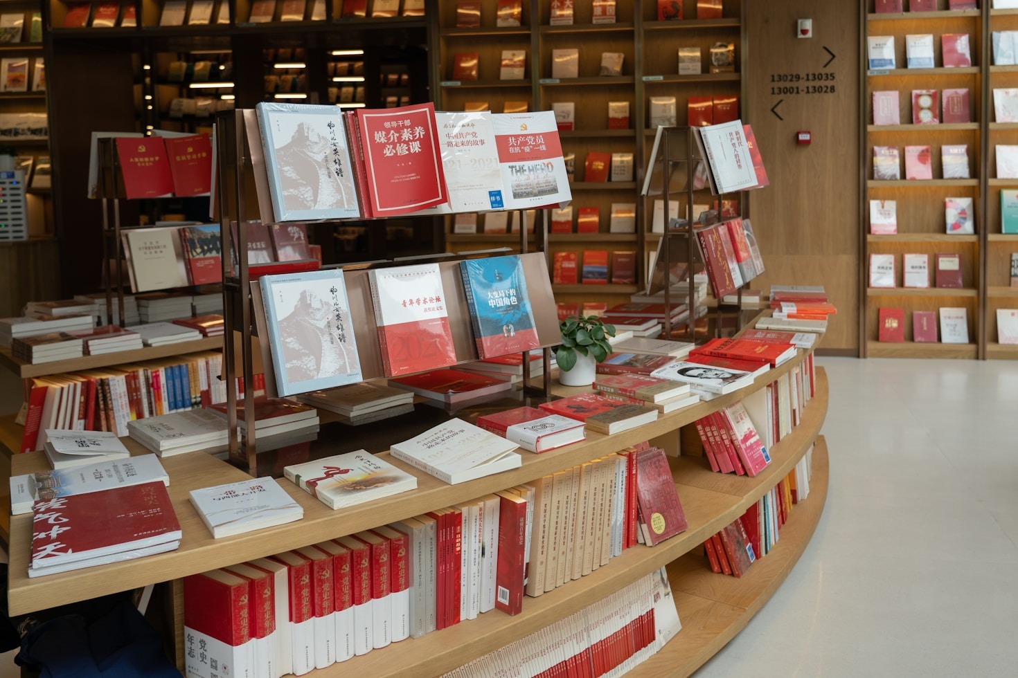 How Paper Lantern Creates a Cozy Atmosphere for Book Lovers